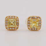 Boucles FLARE