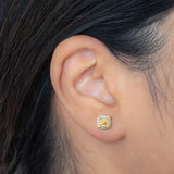 Boucles FLARE