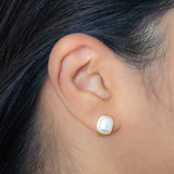 Boucles PAX