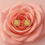 Boucles FLARE